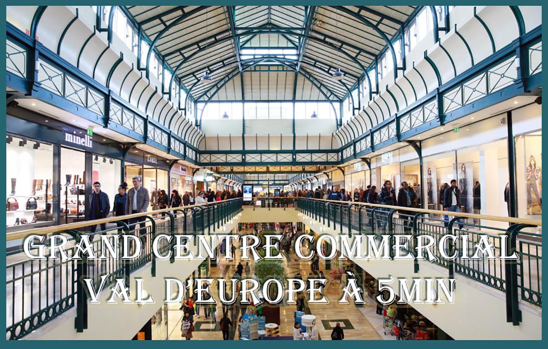 Appartement Avec Salle De Jeux Privee,10Min De Disney Transport En Commun 6 Couchages Chanteloup En Brie Ngoại thất bức ảnh